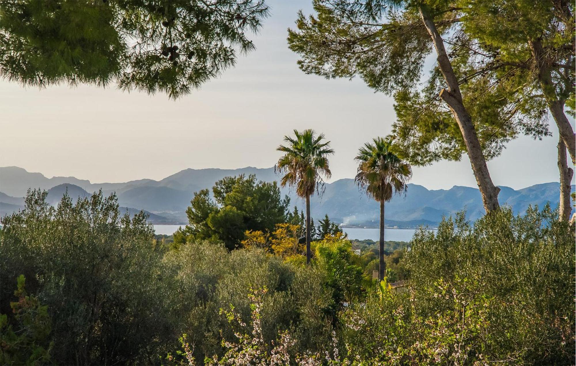 Lovely In With Kitchen * Alcudia (Mallorca)